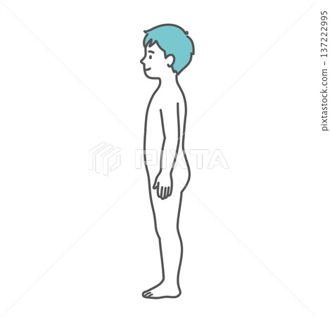 男孩(兒童)人體結構圖/全身模型插圖(側視圖) 男孩(兒童)人體結構圖/全身模型插圖(側視圖) 137222995