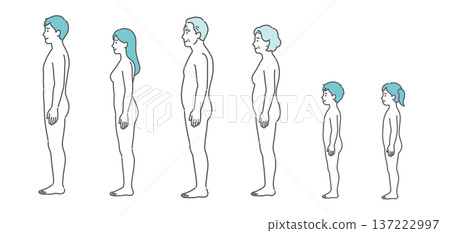 Illustration set of human body diagrams and full-body models of all generations (side and side view) Illustration set of human body diagrams and full-body models of all generations (side and side view) 137222997