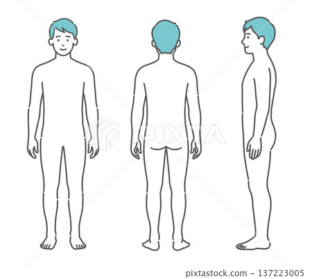 Male human body diagram/full body model illustration set (front, back, side) Male human body diagram/full body model illustration set (front, back, side) 137223005
