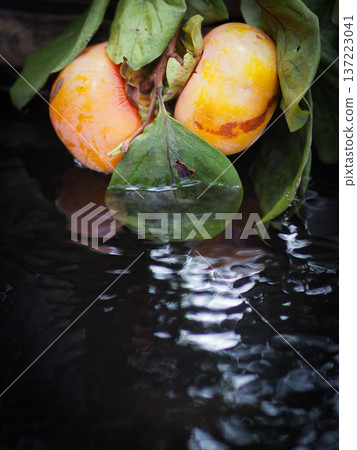 Persimmon tree submerged in a pond Persimmon tree submerged in a pond 137223041