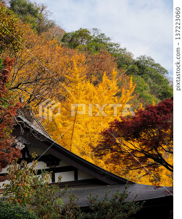 秋葉環繞的袋田寺 秋葉環繞的袋田寺 137223060