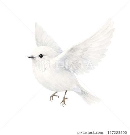Watercolor style white bird flapping wings cutout cute natural illustration 137223200