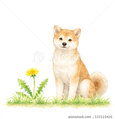 水彩風格的柴犬和蒲公英剪紙素材，可愛的春季自然插畫 137223420