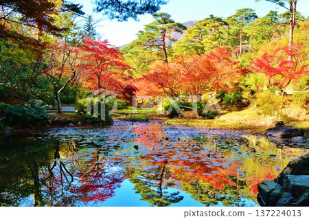 Autumn leaves at Yahiko Park in Niigata Prefecture Autumn leaves at Yahiko Park in Niigata Prefecture 137224013