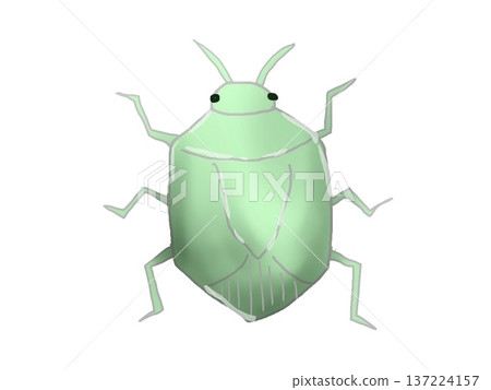 Stink bug illustration Stink bug illustration 137224157