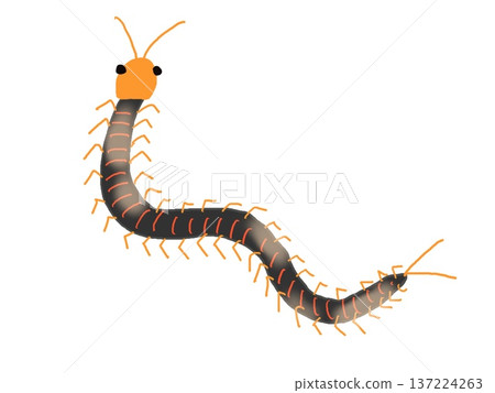 蠕動的蜈蚣插圖 137224263