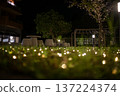 草坪上燈光璀璨的畫面 137224374