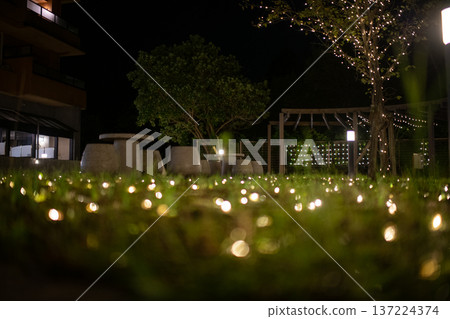 Image of illuminations shining on the lawn Image of illuminations shining on the lawn 137224374