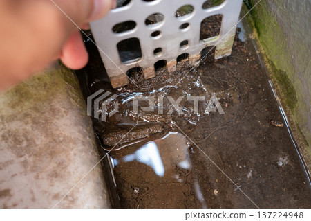 雜物堵塞了陽台的濾網，導致積水。 137224948