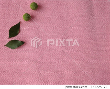 Nandina leaves and crepe balls 137225172