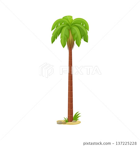 Cartoon vibrant tropical palm tree with detailed leaves. Funny vector icon for travel branding, game assets, children books, holiday brochures, exotic merchandise or jungle themed illustrations 137225228