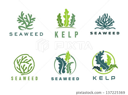 Seaweed icons of vector marine water plants. Sea, ocean and aquarium underwater nature, environment and seafood symbols. Green and blue silhouettes of spirulina, kelp, laminaria and caulerpa seaweeds Seaweed icons of vector marine water plants. Sea, ocean and aquarium underwater nature, environment and seafood symbols. Green and blue silhouettes of spirulina, kelp, laminaria and caulerpa seaweeds 137225369