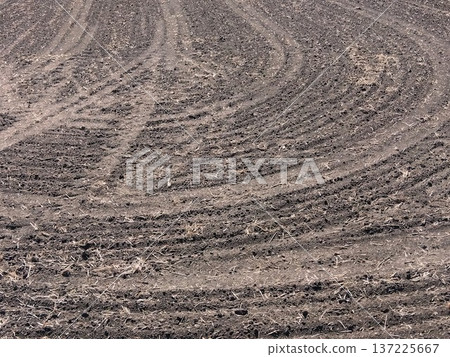 早春時節，郊區充滿車轍的稻田景象 137225667