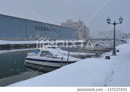 仲冬的白雪皚皚的小樽北運河（北海道小樽） 137225938
