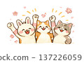 A rabbit and two cats are all happy that spring has come. 137226059