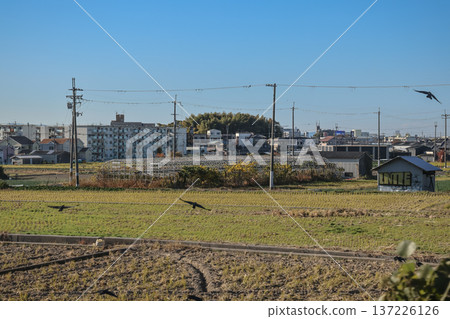 Nov 29 2025 Beautiful Osaka Prefecture View from HARUKA Express Train Nov 29 2025 Beautiful Osaka Prefecture View from HARUKA Express Train 137226126