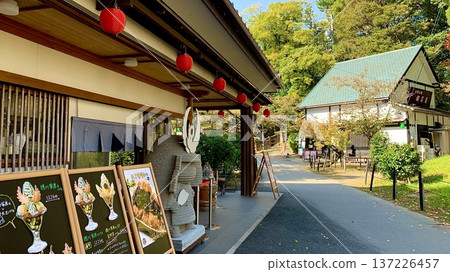 「市川」-八丁味噌料理及時令甜點,「櫻茶屋」-休憩場所(岡崎城公園(隱京塚)/愛知縣岡崎市) 「市川」-八丁味噌料理及時令甜點,「櫻茶屋」-休憩場所(岡崎城公園(隱京塚)/愛知縣岡崎市) 137226457