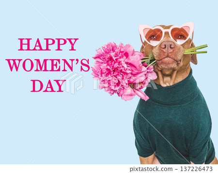 Happy Women's Day. Cute dog and congratulatory inscription Happy Women's Day. Cute dog and congratulatory inscription 137226473