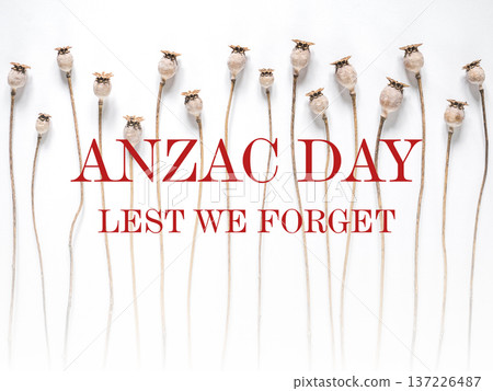 Dry poppies with bold ANZAC DAY text Dry poppies with bold ANZAC DAY text 137226487
