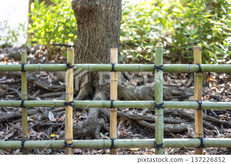 Four-sided fence bamboo image 137226852