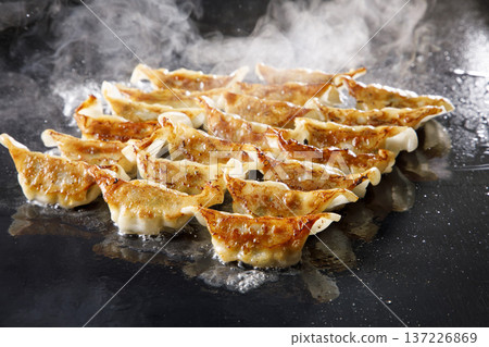Pan-fried gyoza 137226869