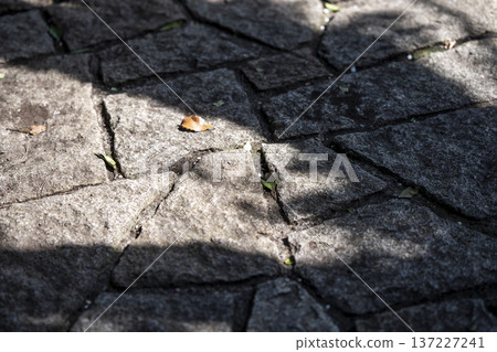 Park tiles, ground, bricks, stone Park tiles, ground, bricks, stone 137227241