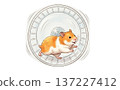 A golden hamster running happily on a running wheel 137227412