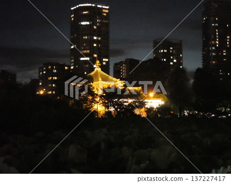 Illuminated Ueno Bentendo Hall Illuminated Ueno Bentendo Hall 137227417