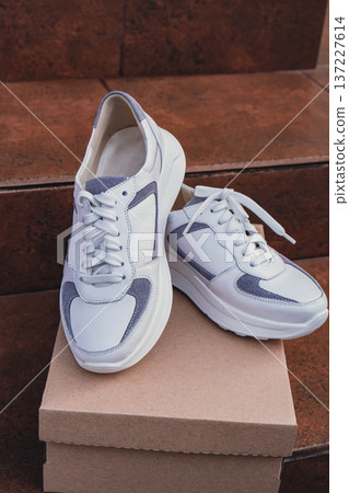 Minimalist eco-friendly white sneakers placed on recycled cardboard box, clean design for sustainable fashion concepts. New unbranded white sneakers footwear mockups and modern product displays. For Minimalist eco-friendly white sneakers placed on recycled cardboard box, clean design for sustainable fashion concepts. New unbranded white sneakers footwear mockups and modern product displays. For 137227614
