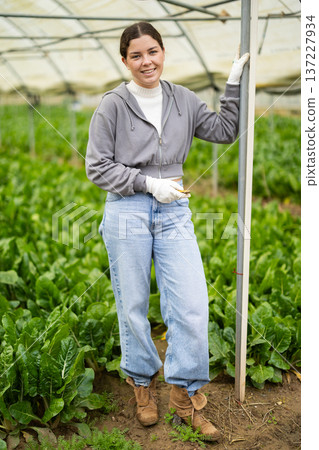 Young female farmer standing inside large agricultural greenhouse 137227934