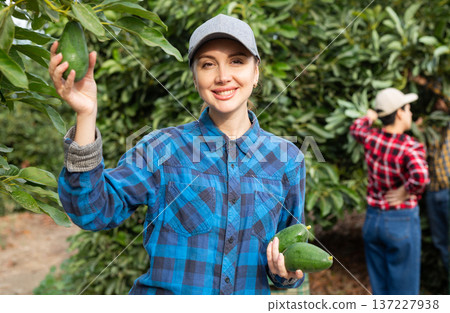 Successful female gardener with ripe avocado in orchard 137227938