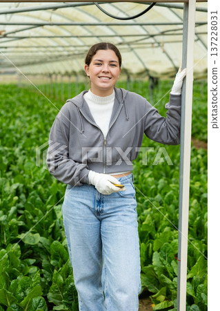 Young woman in greenhouse during harvest season Young woman in greenhouse during harvest season 137228031