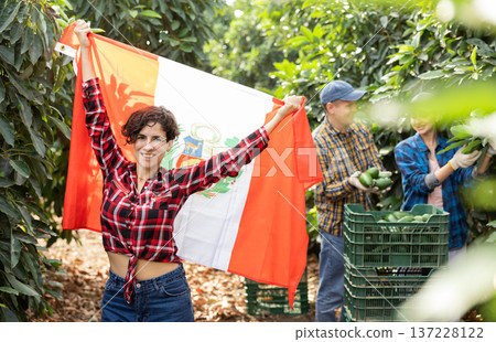Smiling farmers holding Peru flag in avocado plantation Smiling farmers holding Peru flag in avocado plantation 137228122