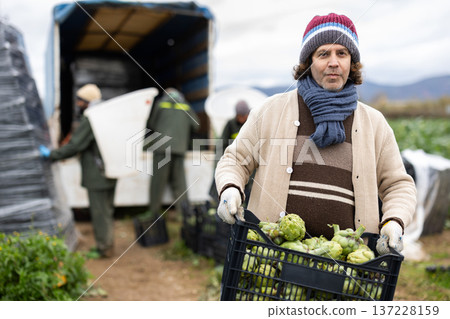 Portrait of positive male farmer holding box of ripe artichokes 137228159