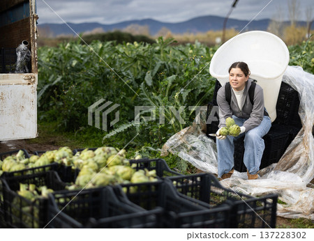 Positive girl is resting sitting after work and tasks, harvesting artichoke. Positive girl is resting sitting after work and tasks, harvesting artichoke. 137228302