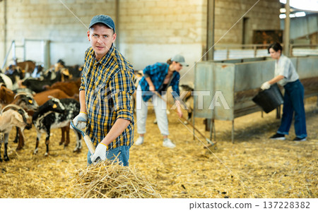 Positive livestock farm worker cleaning goat stall Positive livestock farm worker cleaning goat stall 137228382