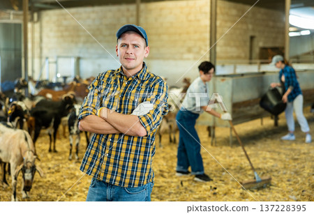 Experienced livestock farm worker standing in goat stall Experienced livestock farm worker standing in goat stall 137228395