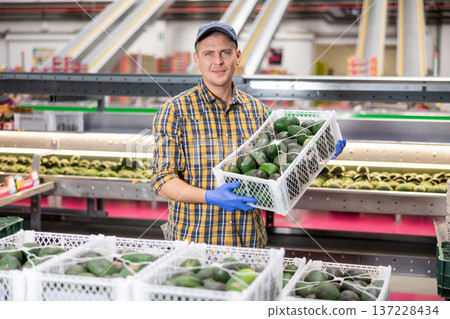 Diligent friendly worker carries boxes of avocado fruits at factory Diligent friendly worker carries boxes of avocado fruits at factory 137228434