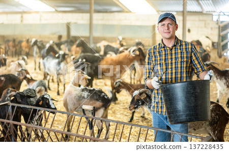 Livestock farmer carrying pail with animal feed in goat stall Livestock farmer carrying pail with animal feed in goat stall 137228435
