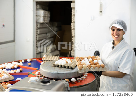 Adult experienced latin woman sorting eggs in chicken farm Adult experienced latin woman sorting eggs in chicken farm 137228460