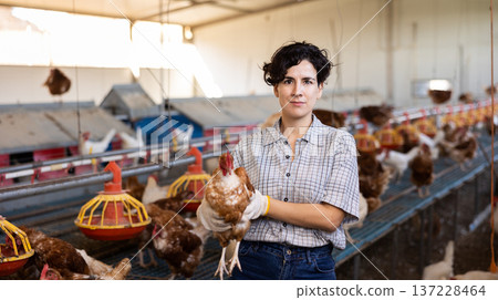 young Latin woman farmer worker in gloves taking care of chicken during work in henhouse, indoors young Latin woman farmer worker in gloves taking care of chicken during work in henhouse, indoors 137228464