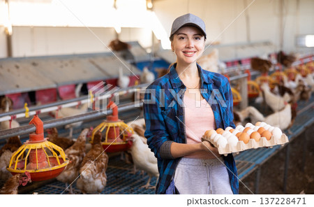 Young European woman farmer worker holding cardboard box full of fresh chicken eggs on poultry farm Young European woman farmer worker holding cardboard box full of fresh chicken eggs on poultry farm 137228471
