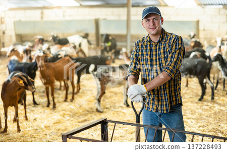 Portrait of focused busy Latin female employee working with hay and straw in barn on goat livestock farm Portrait of focused busy Latin female employee working with hay and straw in barn on goat livestock farm 137228493