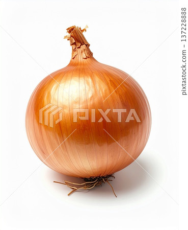 One onion with the skin on, placed in the center 137228888