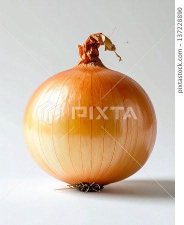 One onion with the skin on, placed in the center 137228890