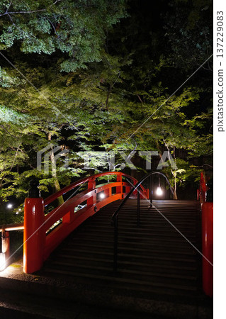 京都北野天滿宮的秋葉燈光花園 137229083