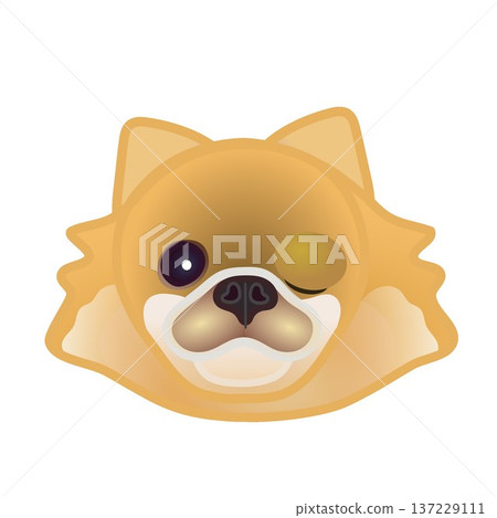 Pomeranian face illustration 137229111
