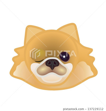 博美犬臉部插圖 博美犬臉部插圖 137229112