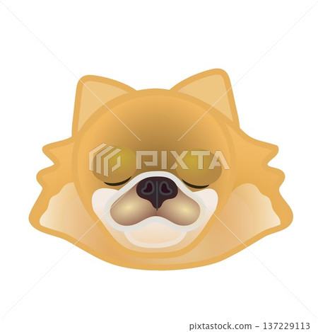 博美犬臉部插圖 博美犬臉部插圖 137229113