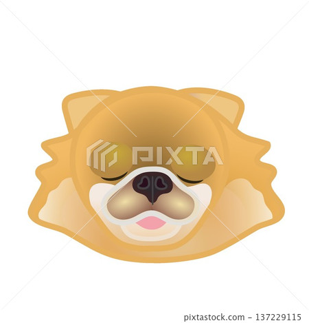 博美犬臉部插圖 博美犬臉部插圖 137229115